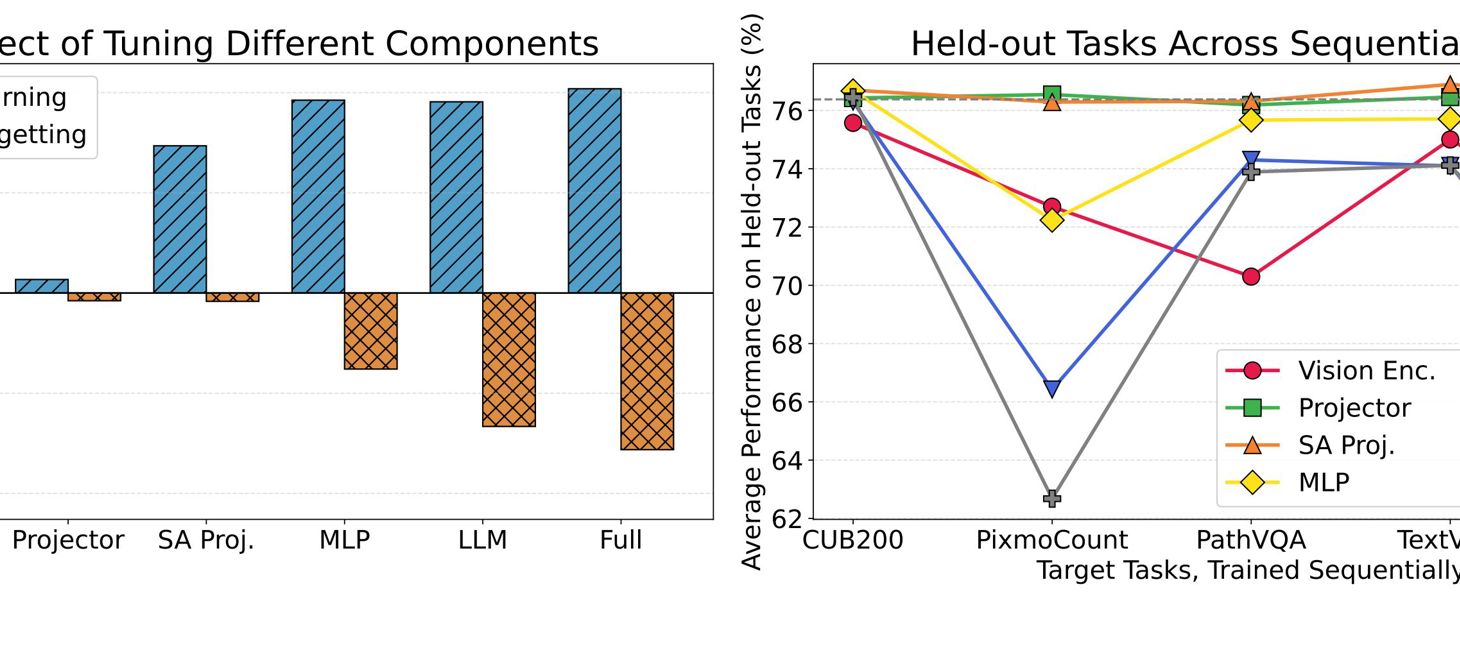How to Teach Large Multimodal Models New Skills
