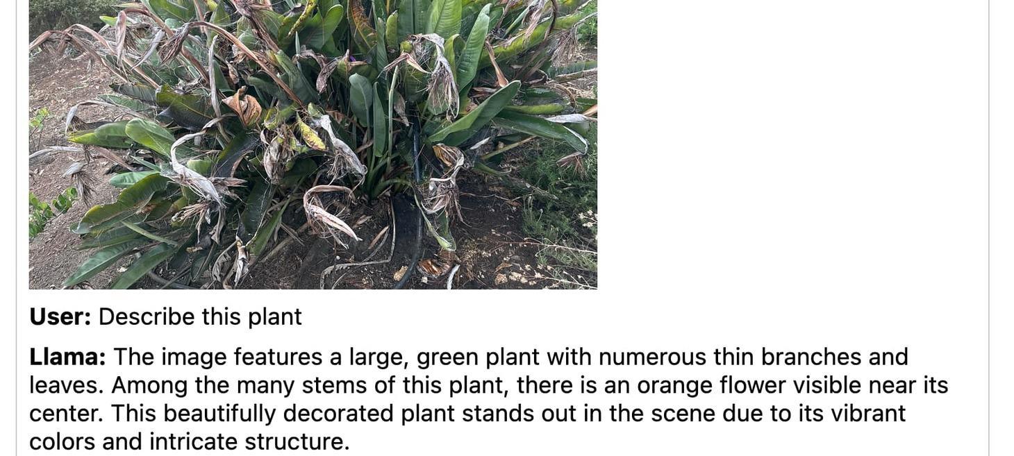 llamafile is the new best way to run a LLM on your own computer